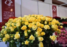 The Golden Blossom from Zena Roses is a new bright yellow variety that was made commercial two months ago